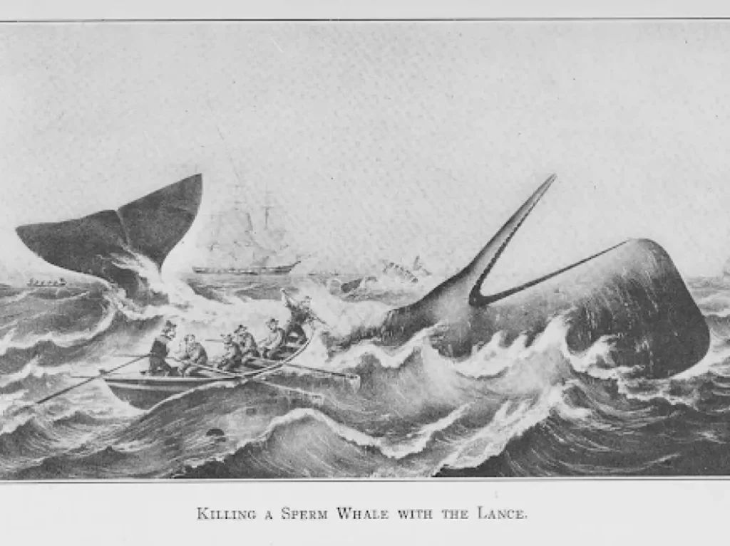 A vintage illustration showing sailors in a small boat attacking a large sperm whale with lances, as the whale thrashes in rough seas. A sailing ship is visible in the background.